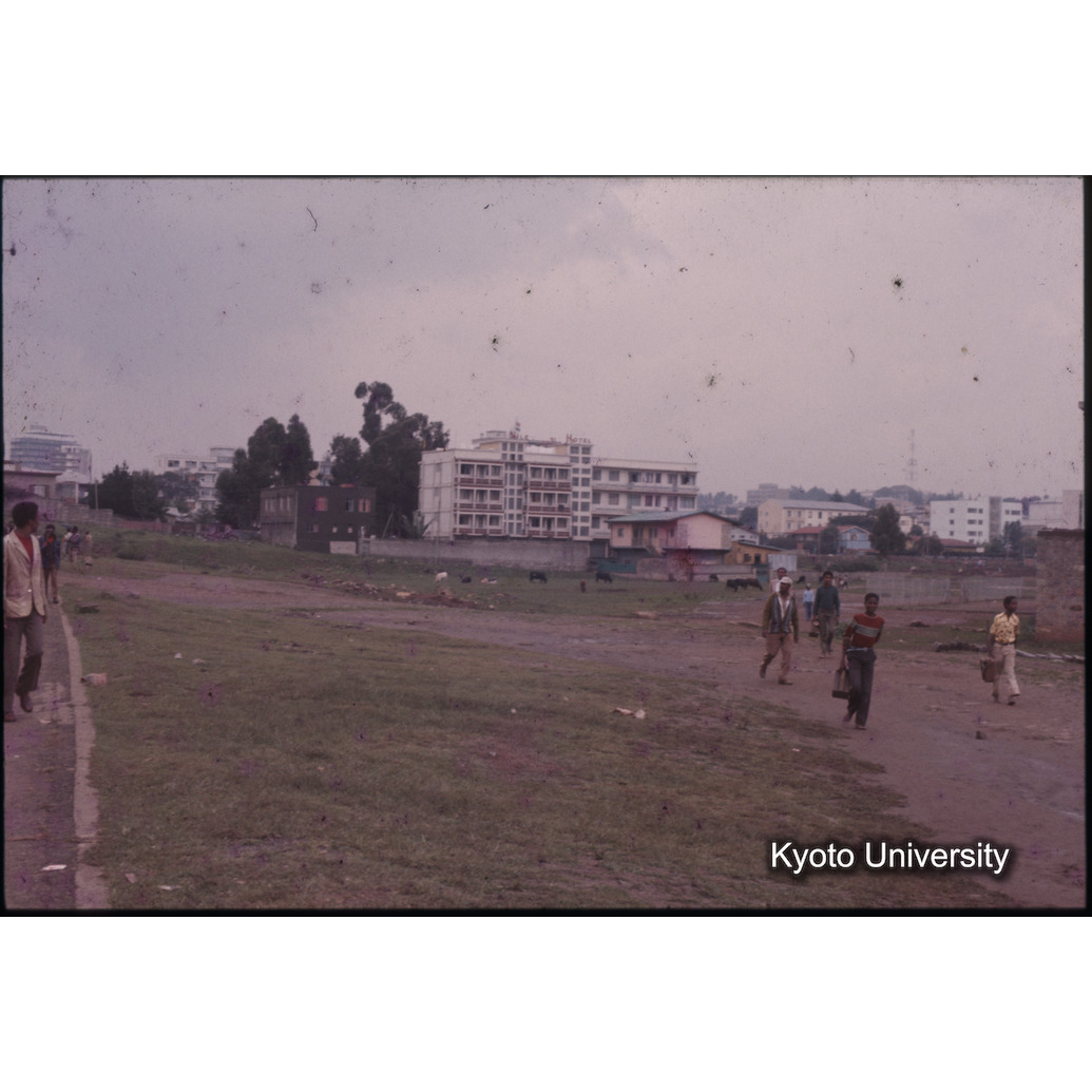 AdAb　1974　35 (1)