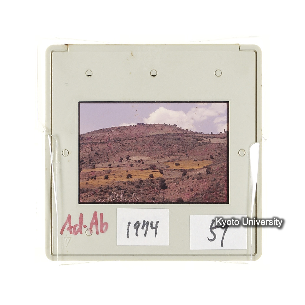 AdAb　1974　59 (2)