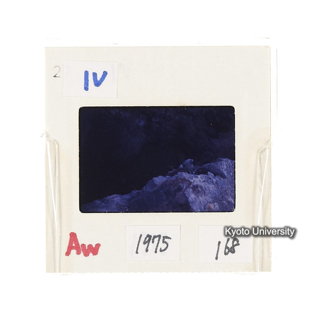 Aw　1975　168 (2)