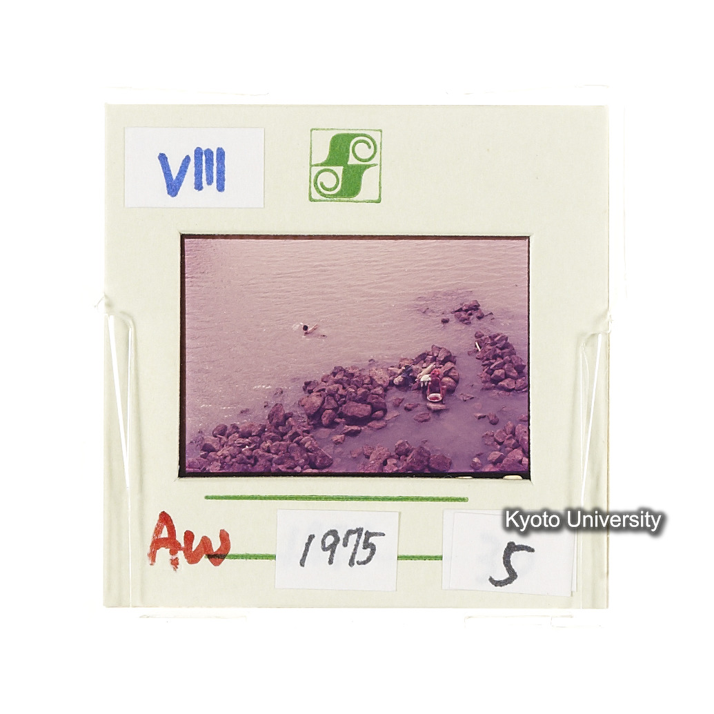 Aw　1975　5 (2)
