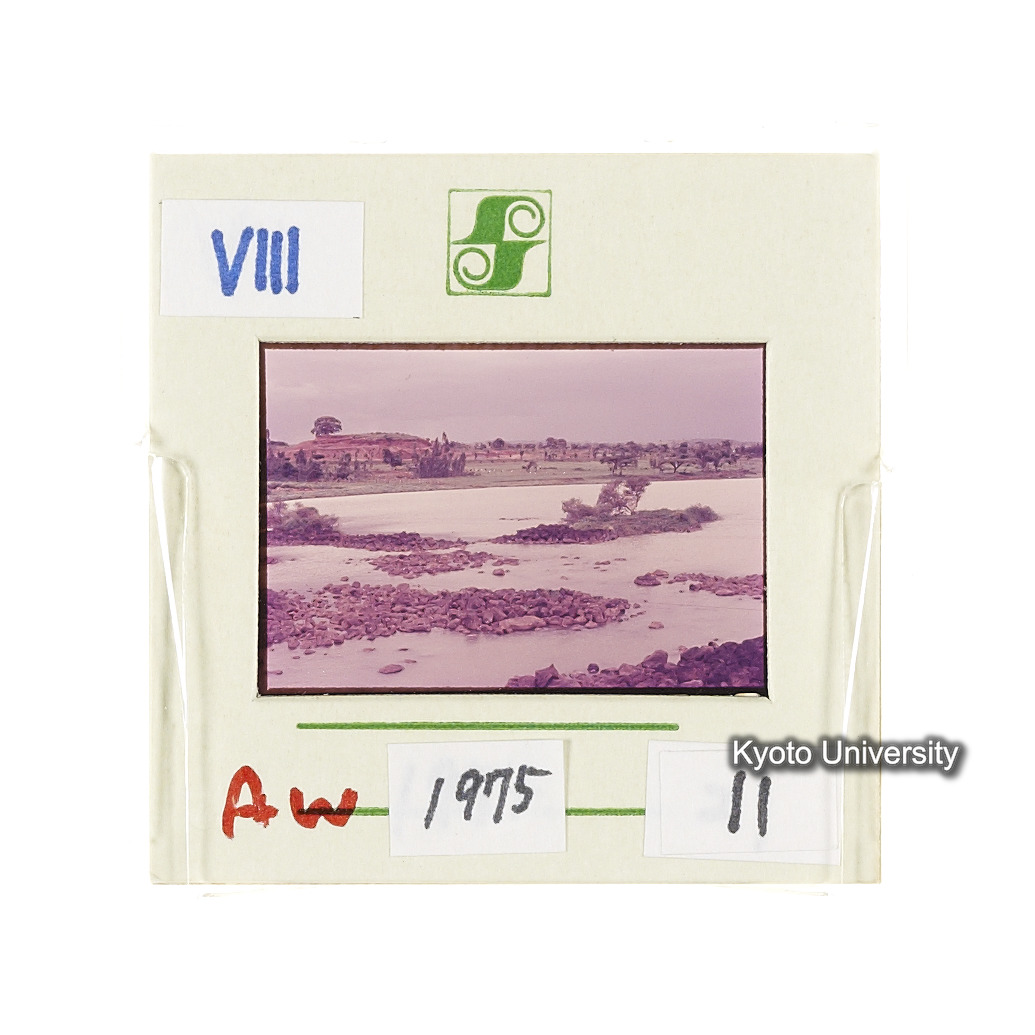 Aw　1975　11 (2)