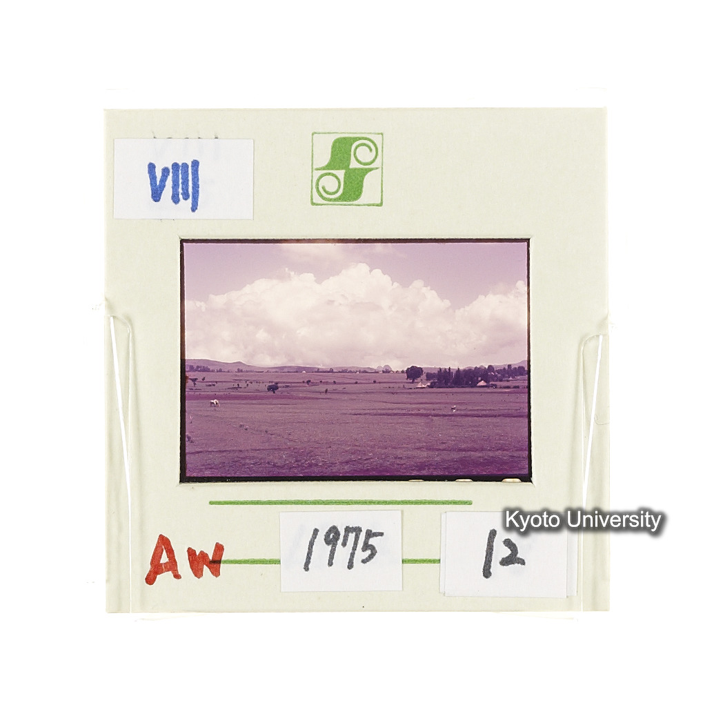 Aw　1975　12 (2)
