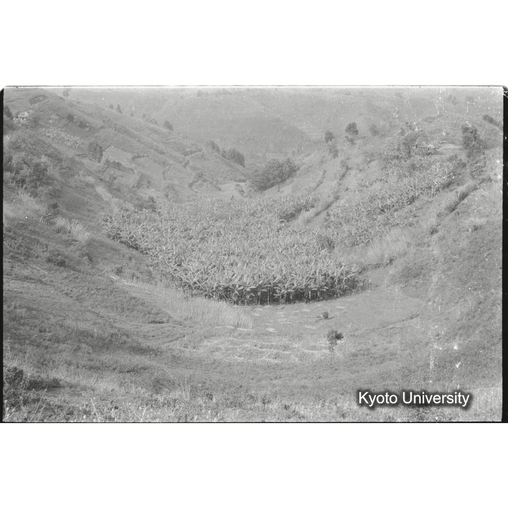 [12コマ目]「？」 (1)