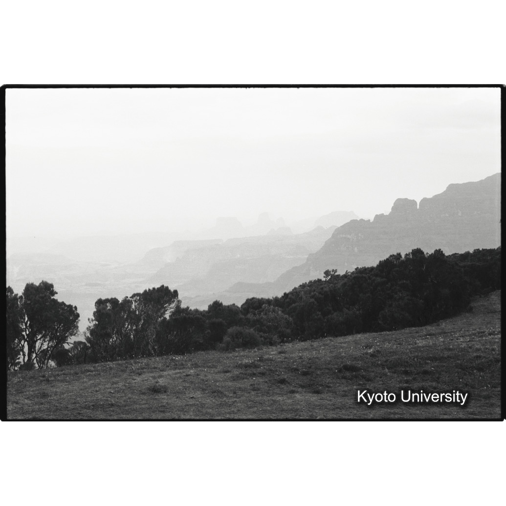 [１コマ目]「×」 (1)