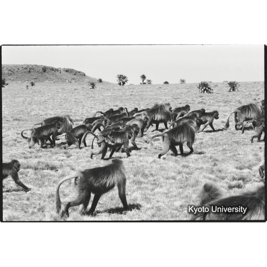 [３７コマ目]「移動」 (1)