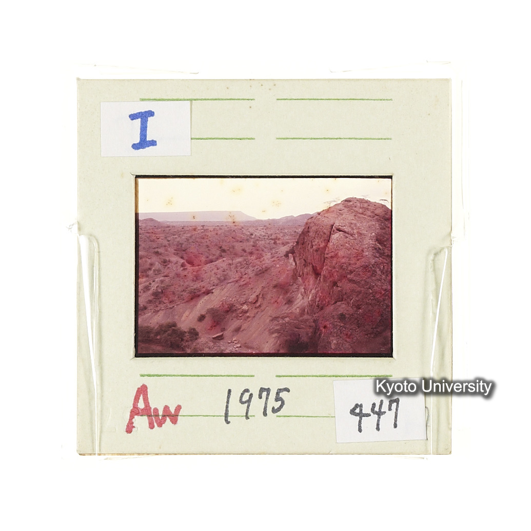 Aw　1975　447 (2)