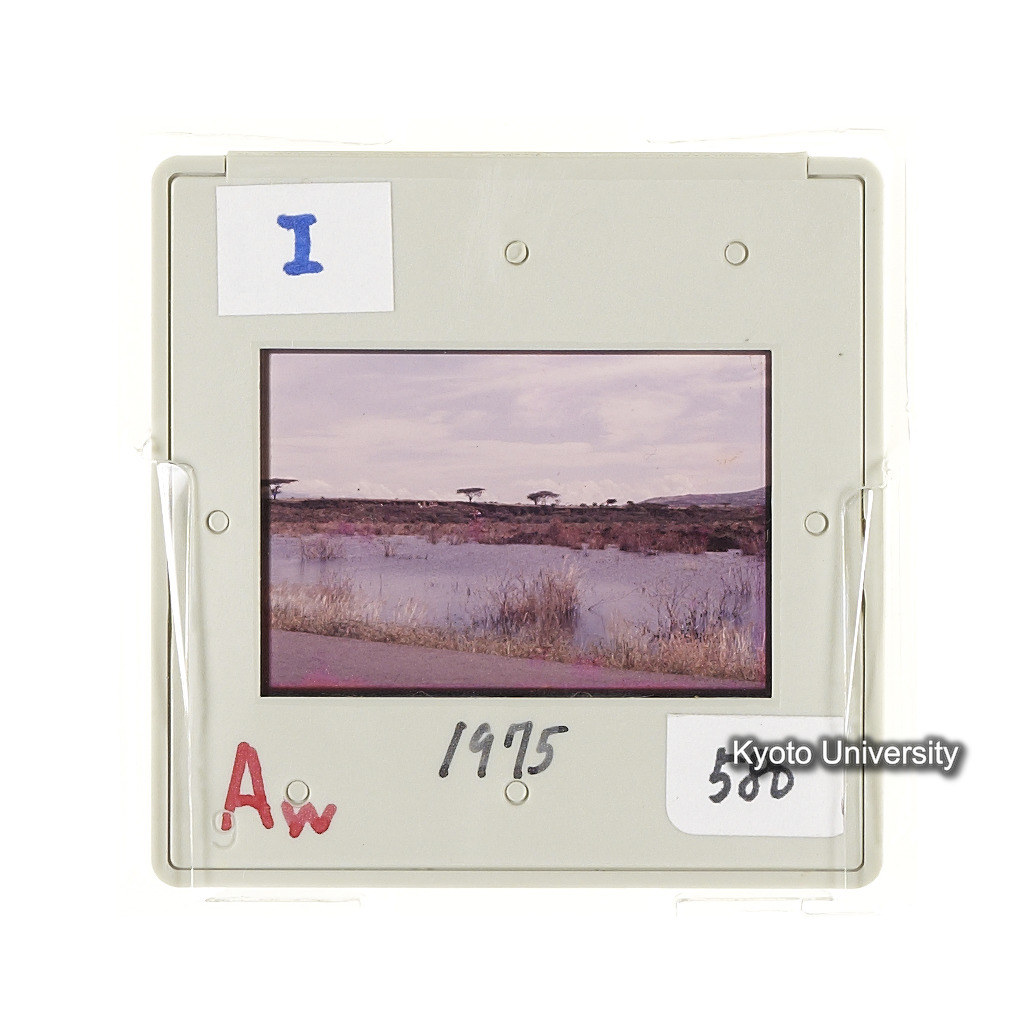 Aw　1975　580 (2)