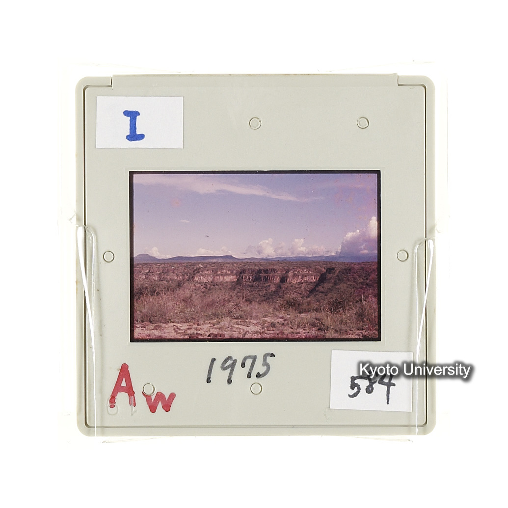 Aw　1975　584 (2)