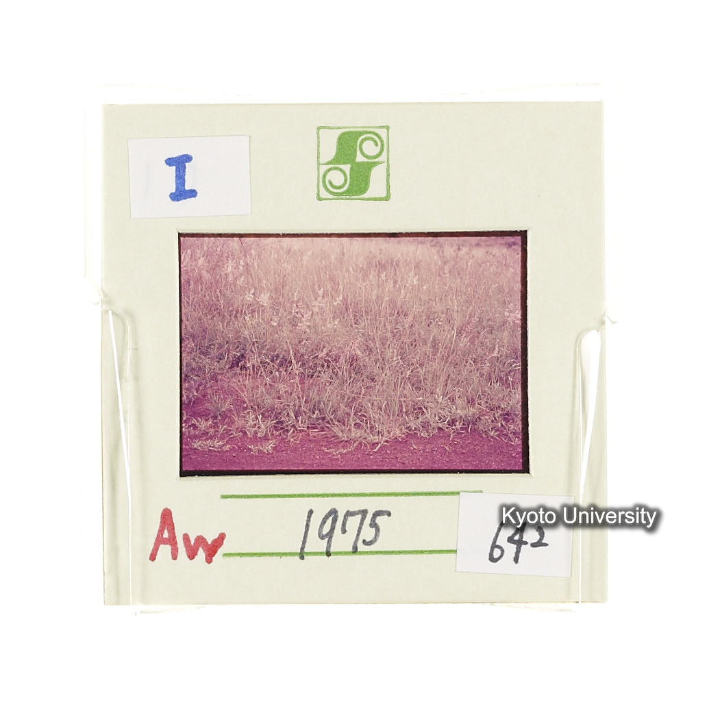 Aw　1975　642 (2)