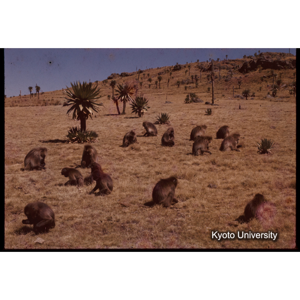 Sm　1973　1373 (1)