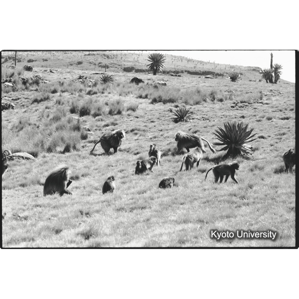 [２２コマ目]「タハイユニット（１）」 (1)