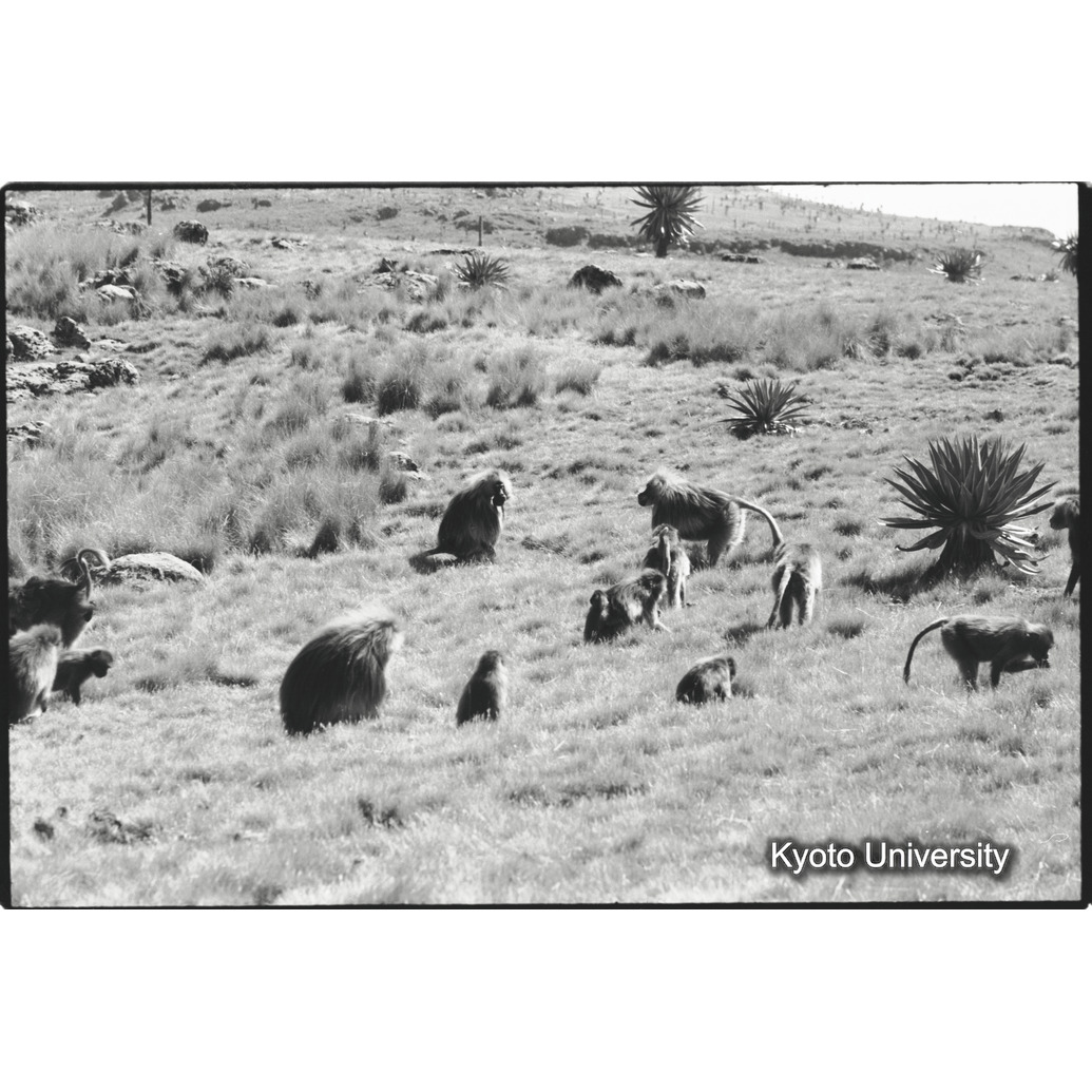 [２３コマ目]「タハイユニット（２）」 (1)