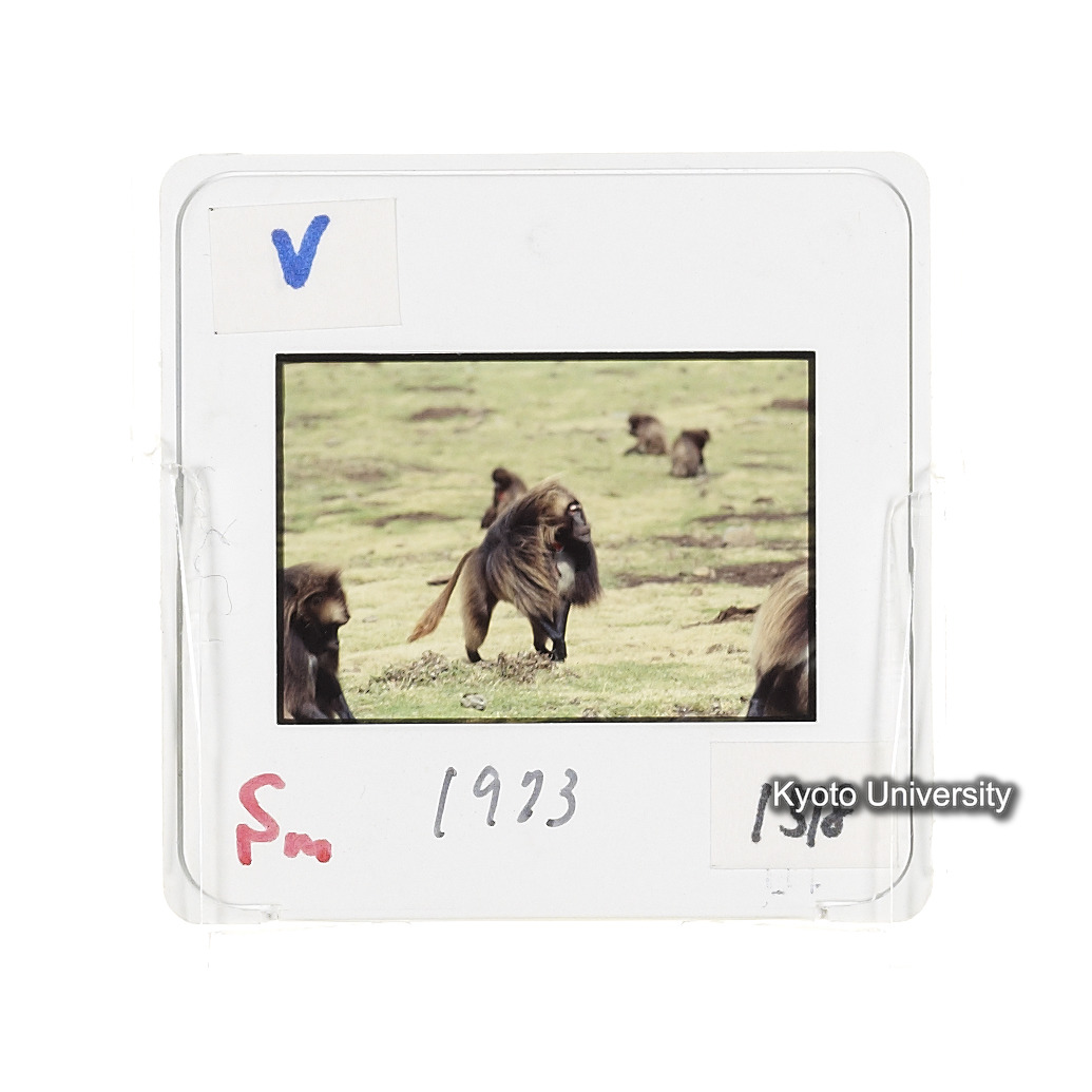 Sm　1973　1518 (2)