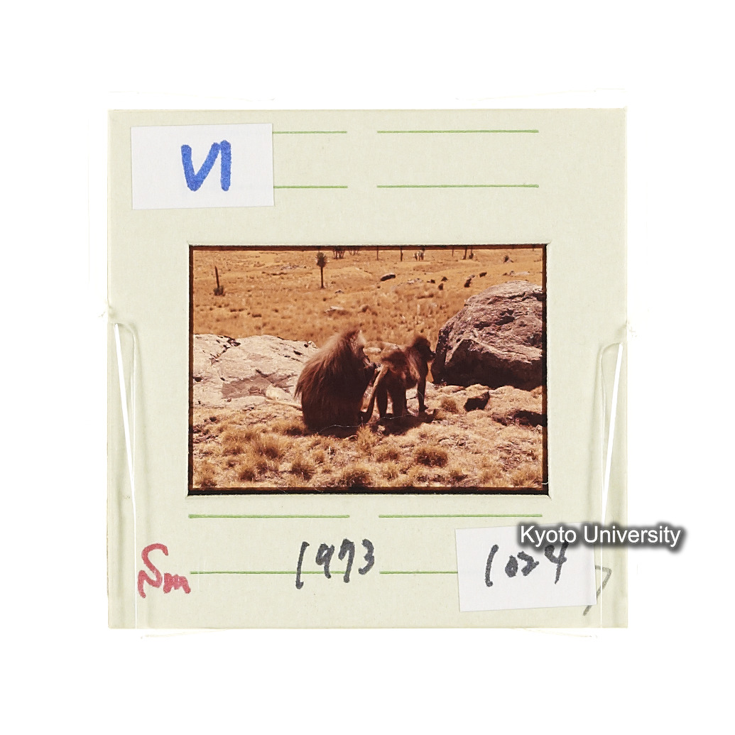 Sm　1973　1024 (2)