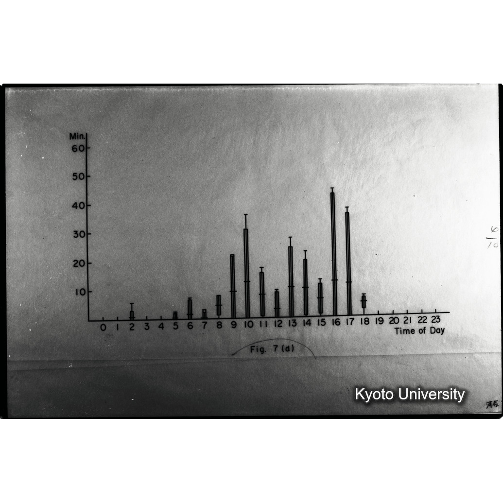 [２４コマ目]「×」 (1)