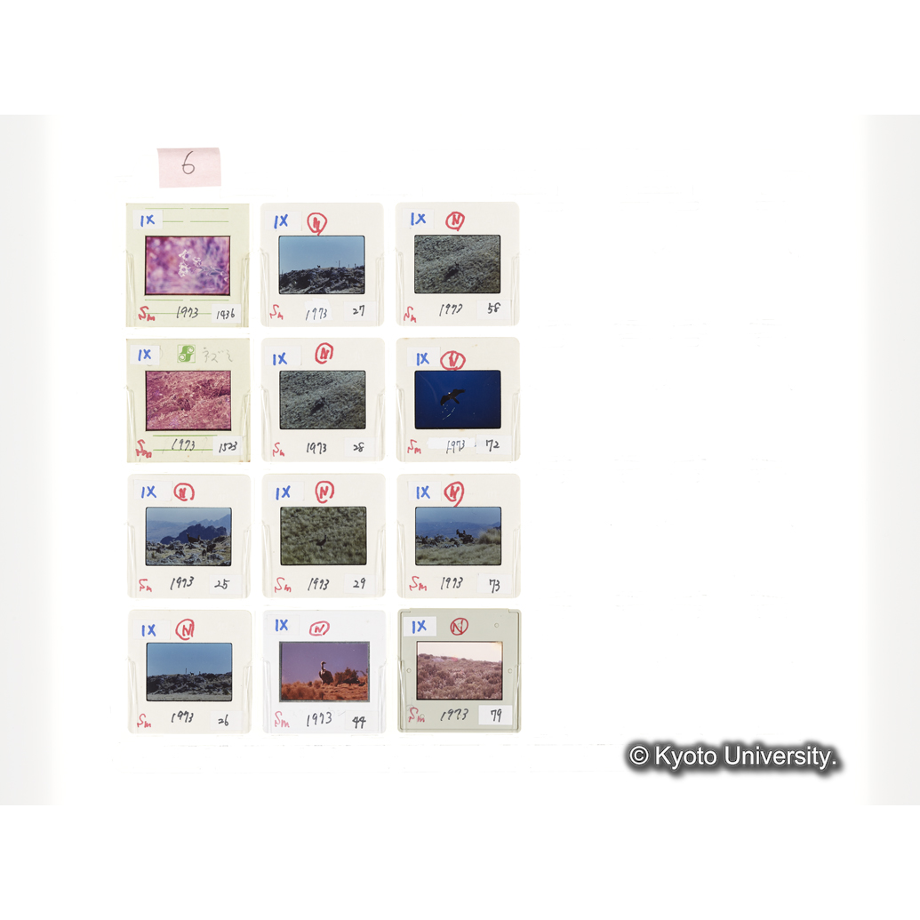 [スライドシート] 6 (1)