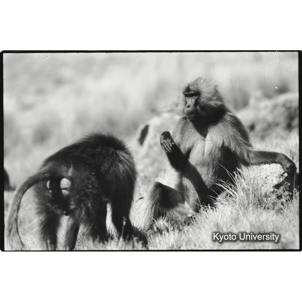 [３８コマ目]「×」 (1)