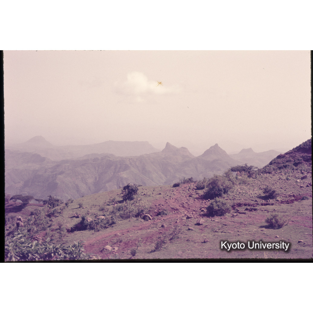 Sm　1973　1103 (1)