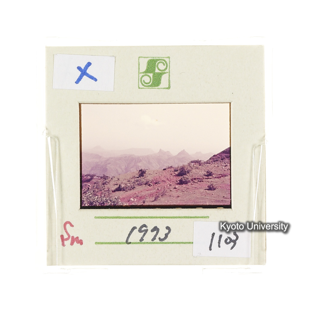 Sm　1973　1103 (2)