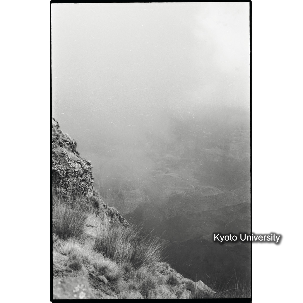 [１コマ目]「×」 (1)