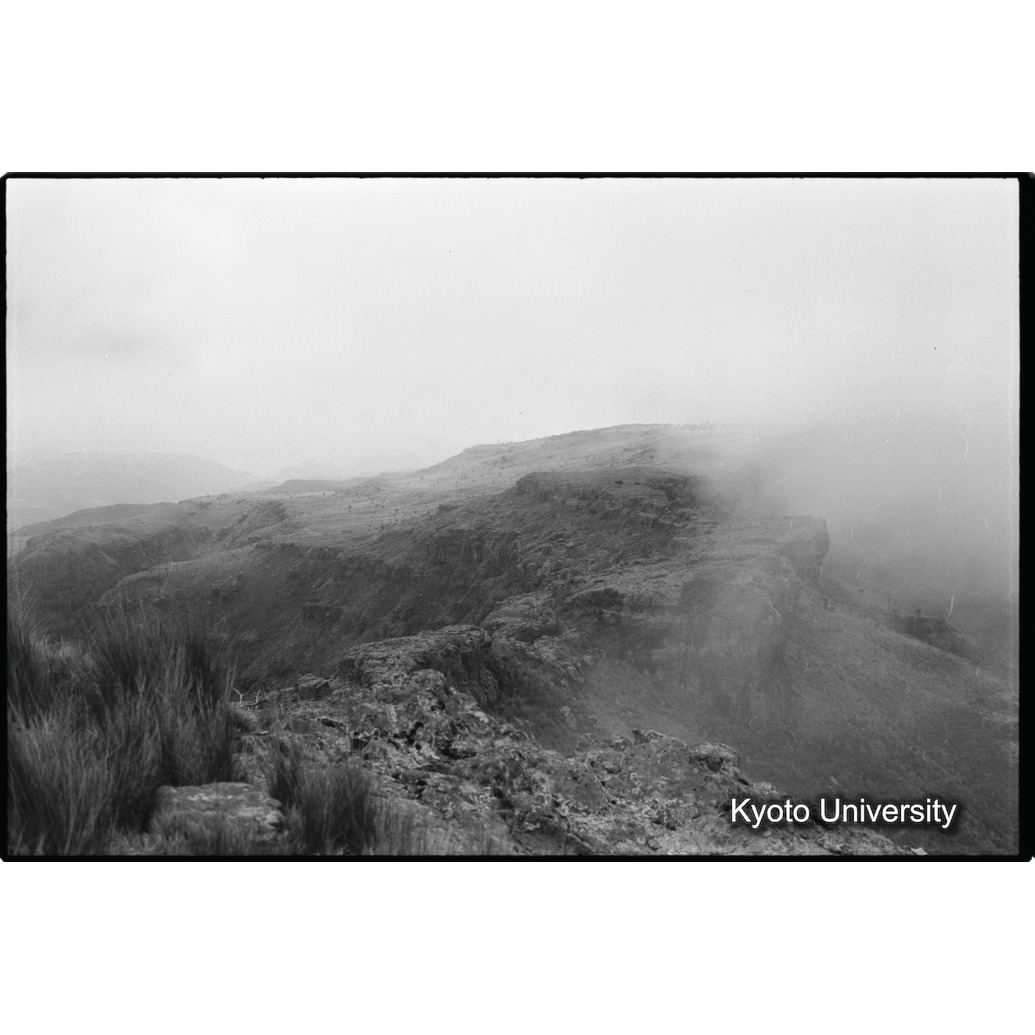 [９コマ目]「×」 (1)