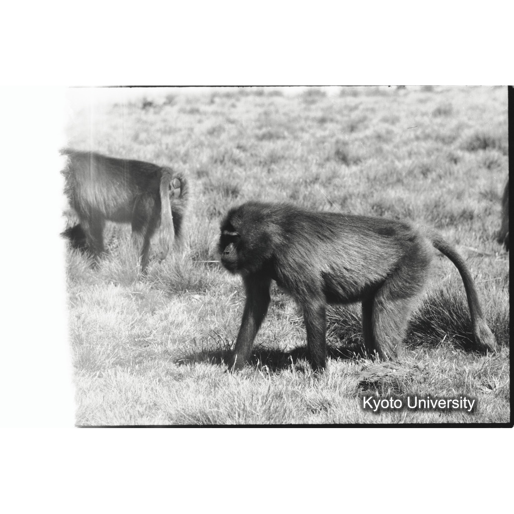 [１コマ目]「×」 (1)