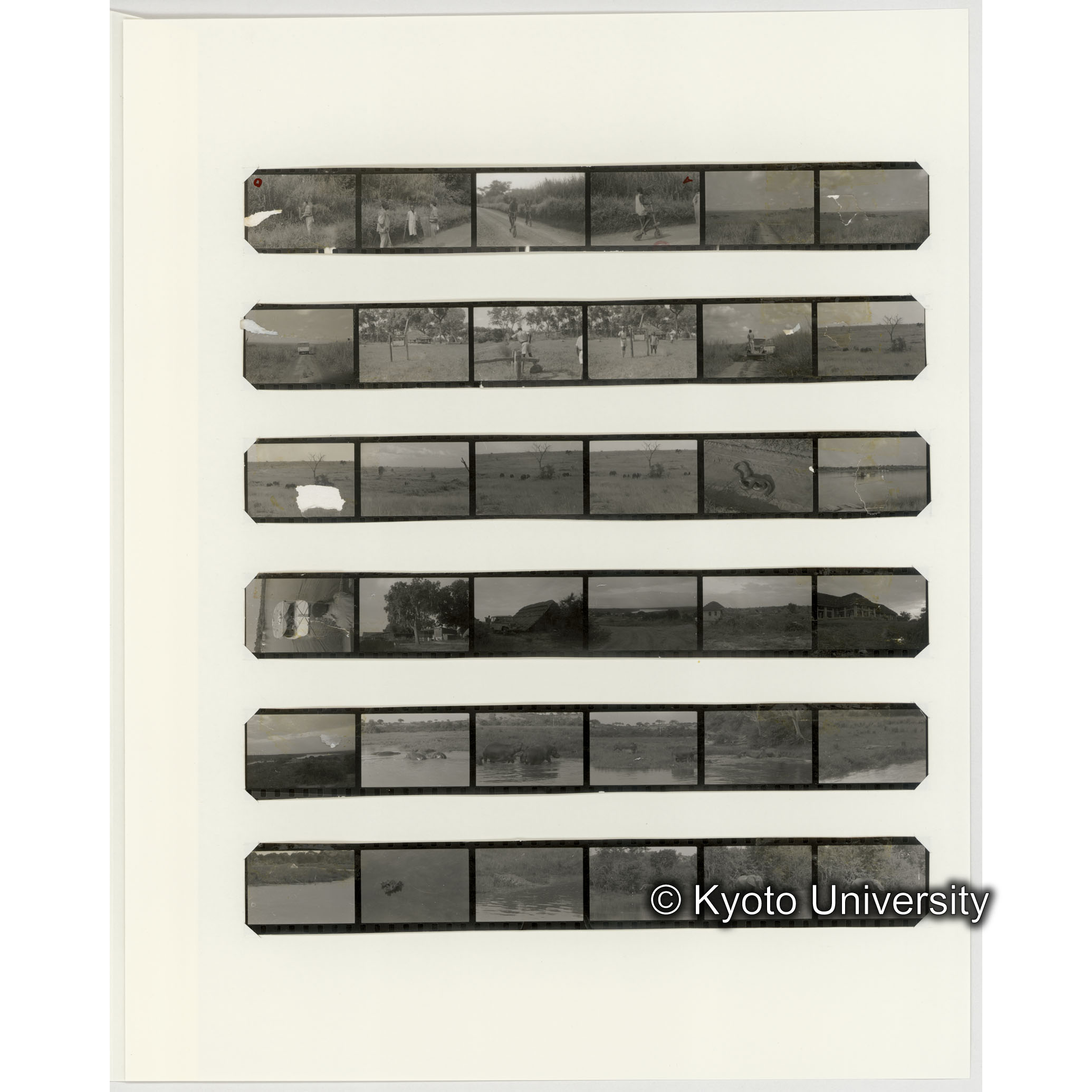 [ネガフィルムスリーブ6]「５３８」 (2)