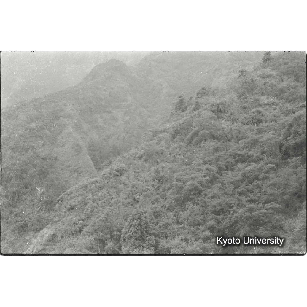 [７コマ目]「ムハブラ」 (1)