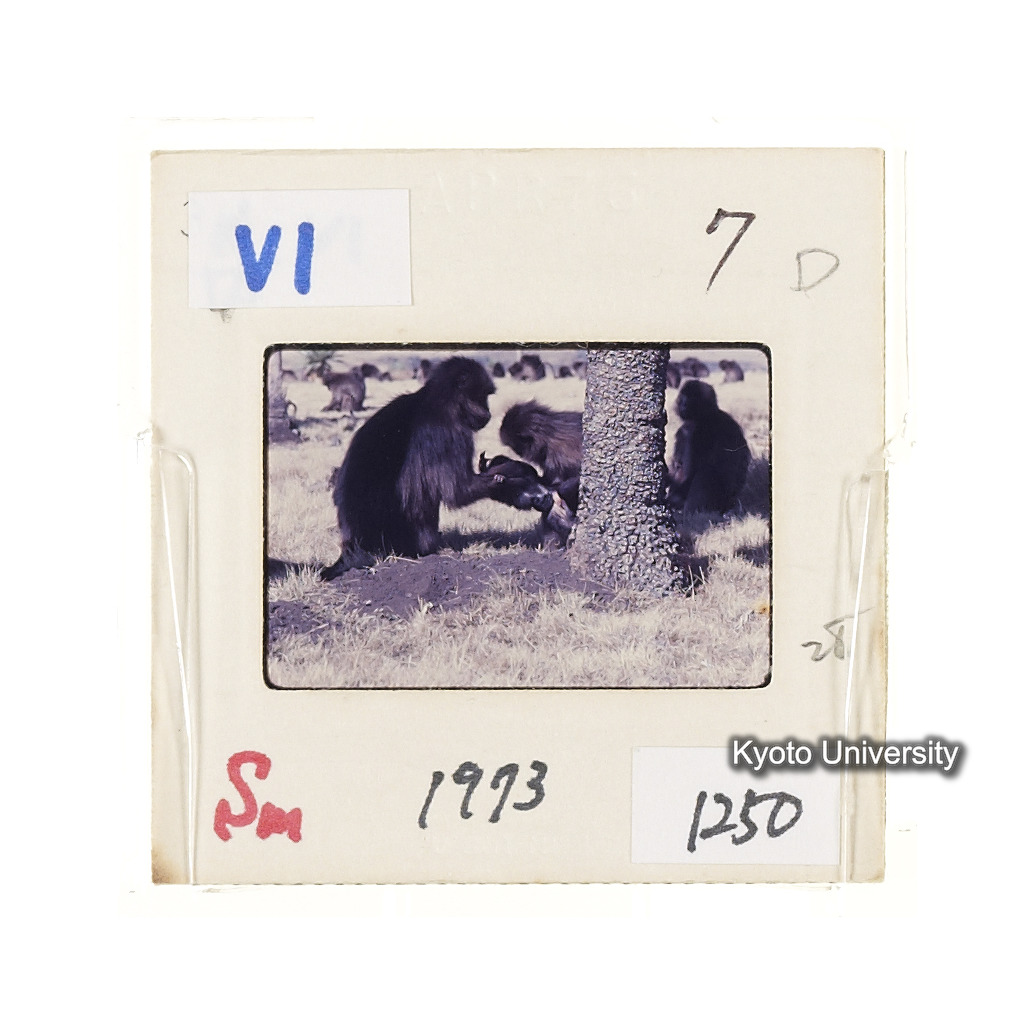 Sm　1973　1250 (2)