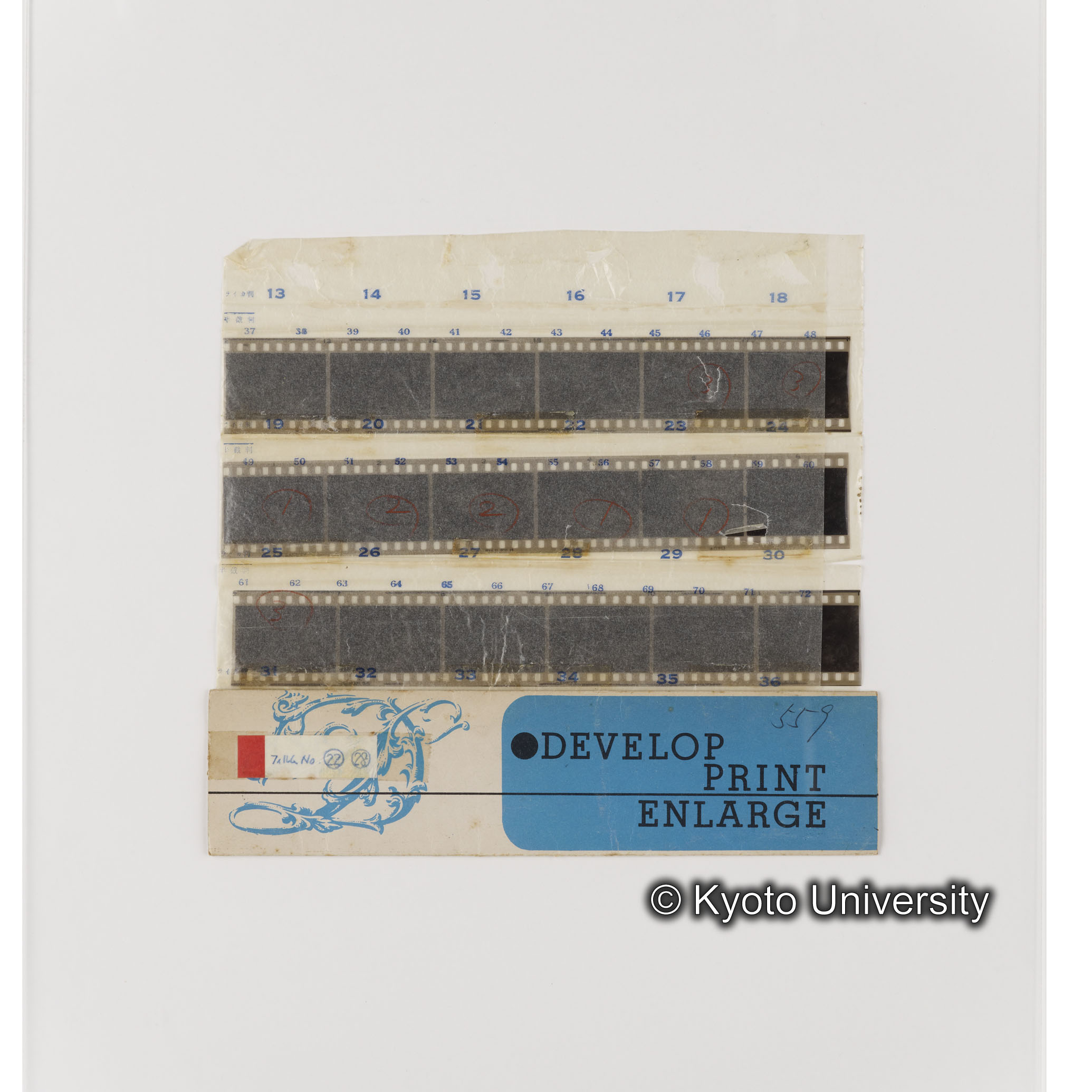 [ネガフィルムスリーブ29]「５５９」 (1)