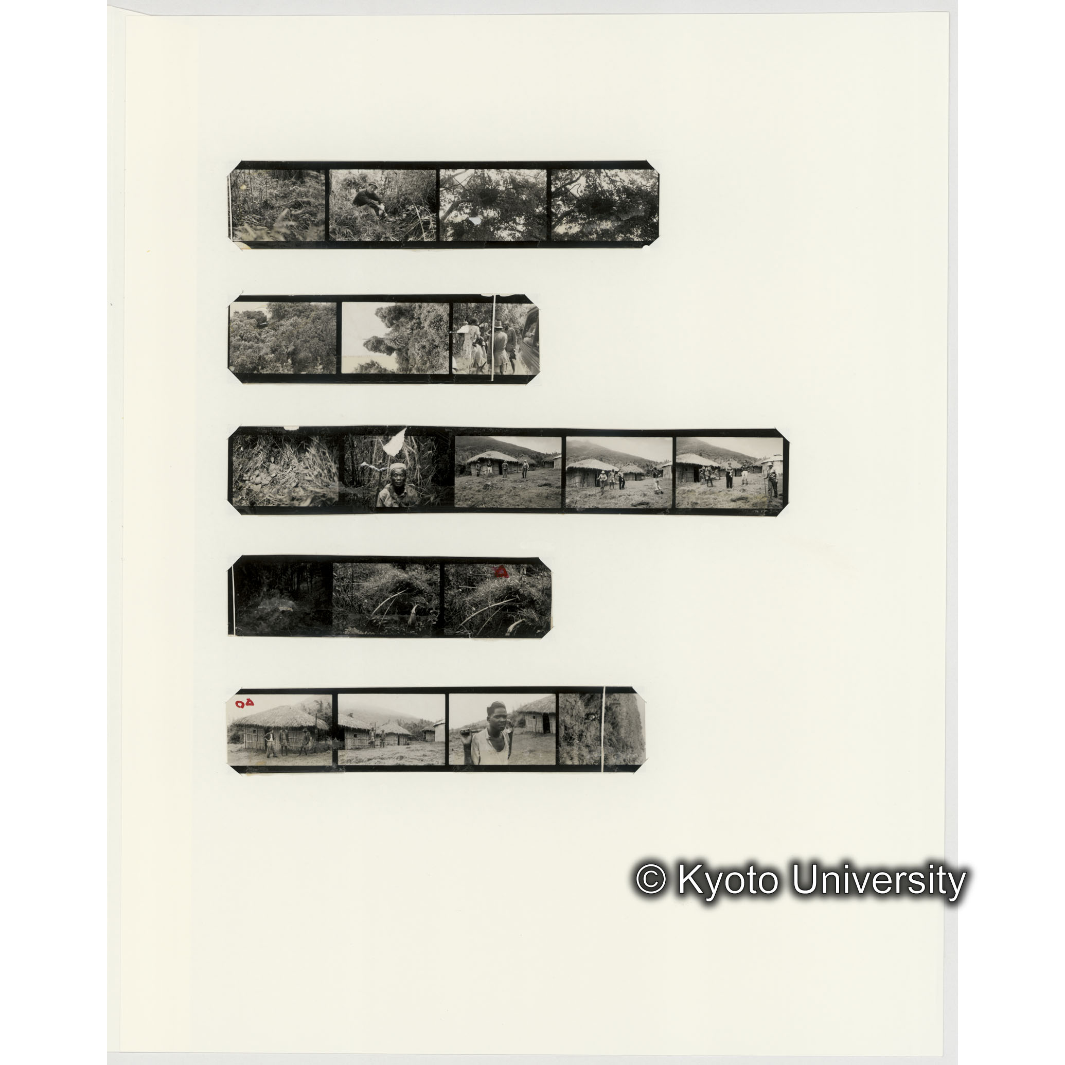 [ネガフィルムスリーブ30]「５６０」 (2)