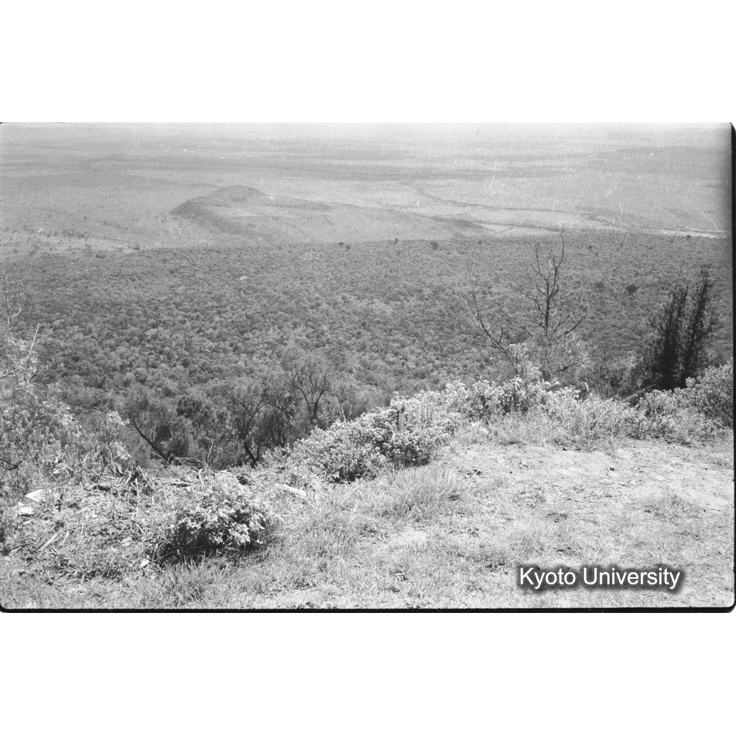 [20コマ目]「大地溝帯を下に見る（１）」 (1)