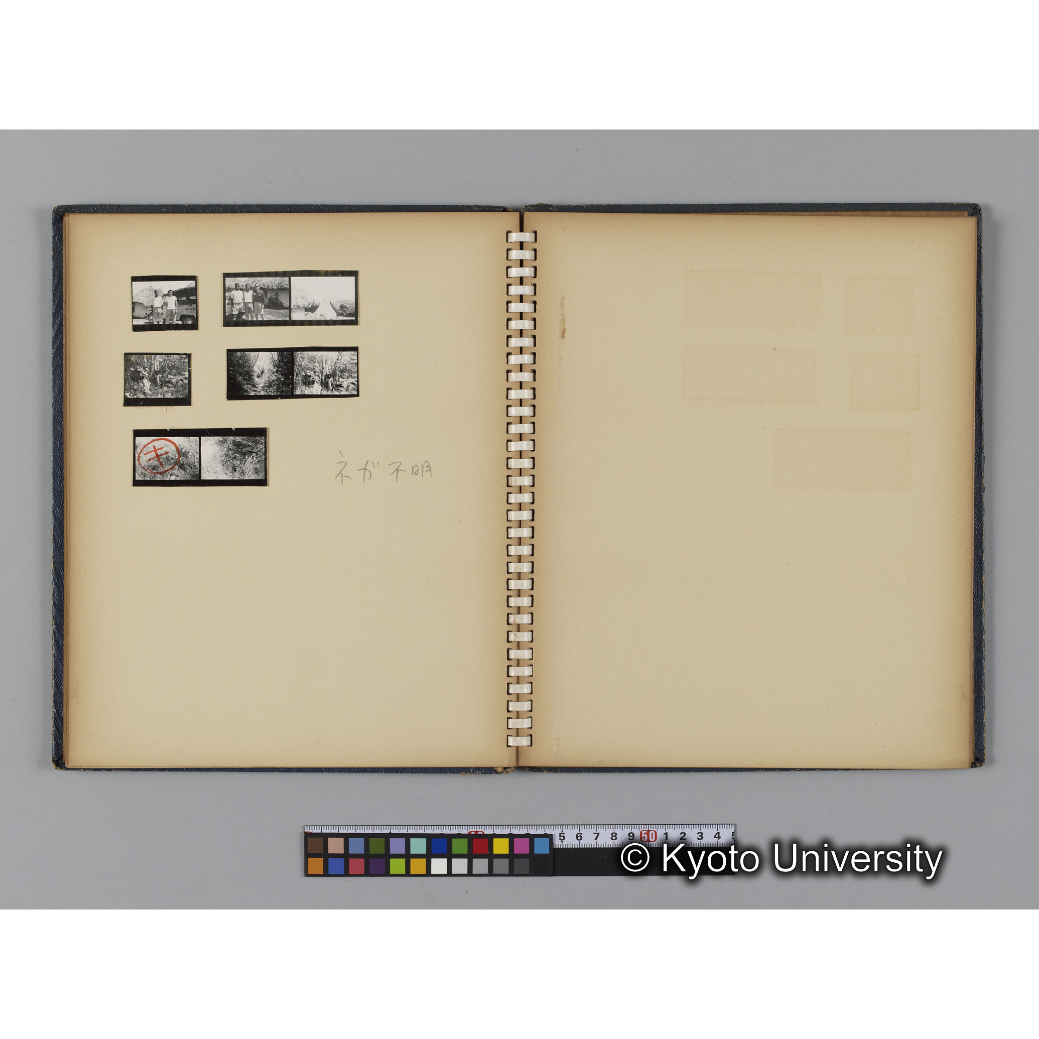 [見開き７]ネガスリーブネガ不明分 (1)