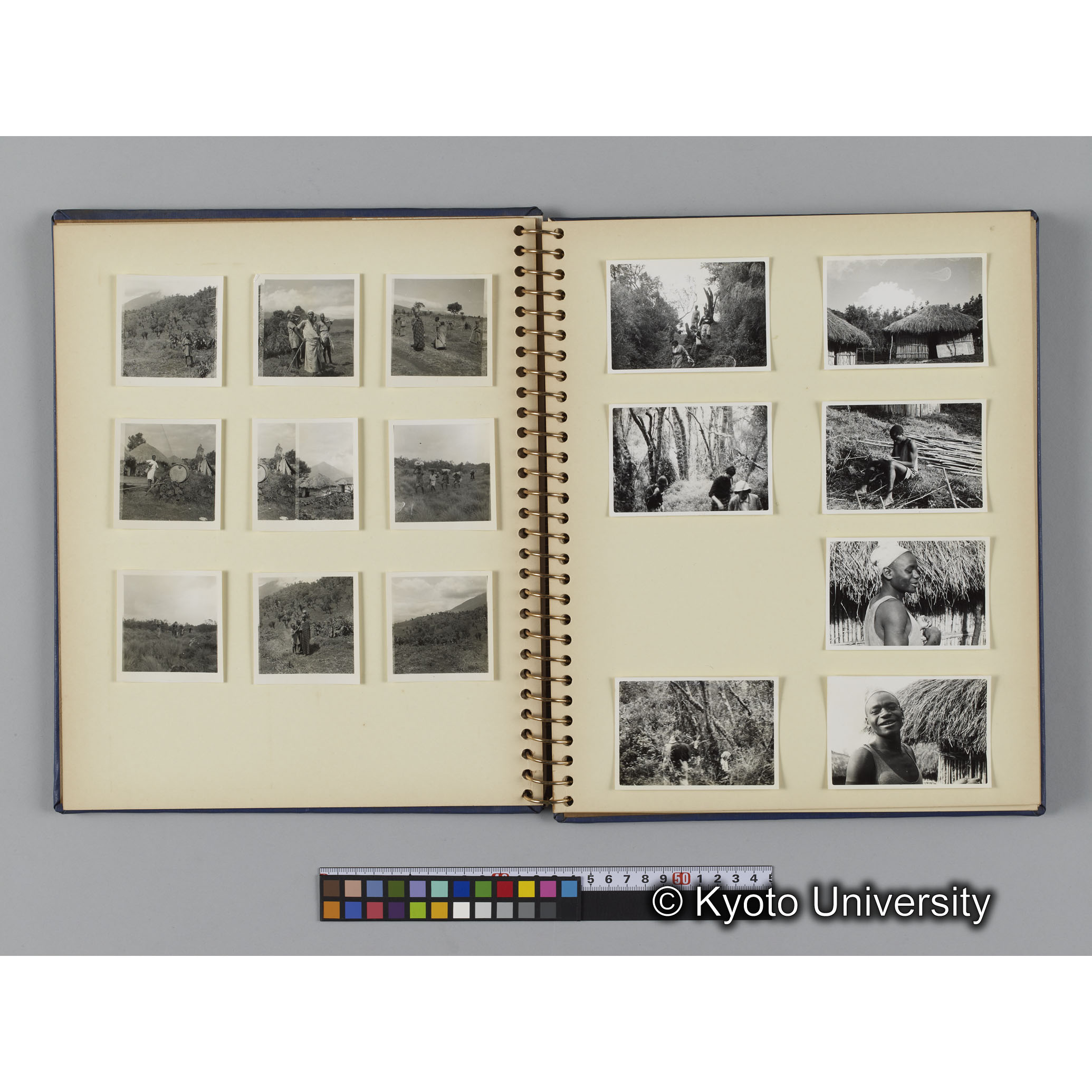 [見開き３]「ゴリラのすむ山」 (1)