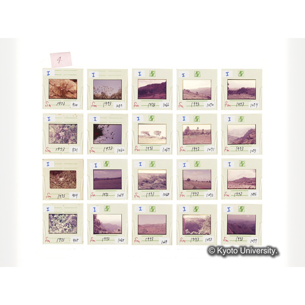 [スライドシート] 4 (1)