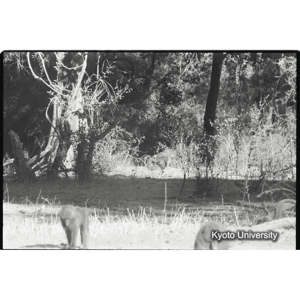 [３１コマ目]「×」 (1)