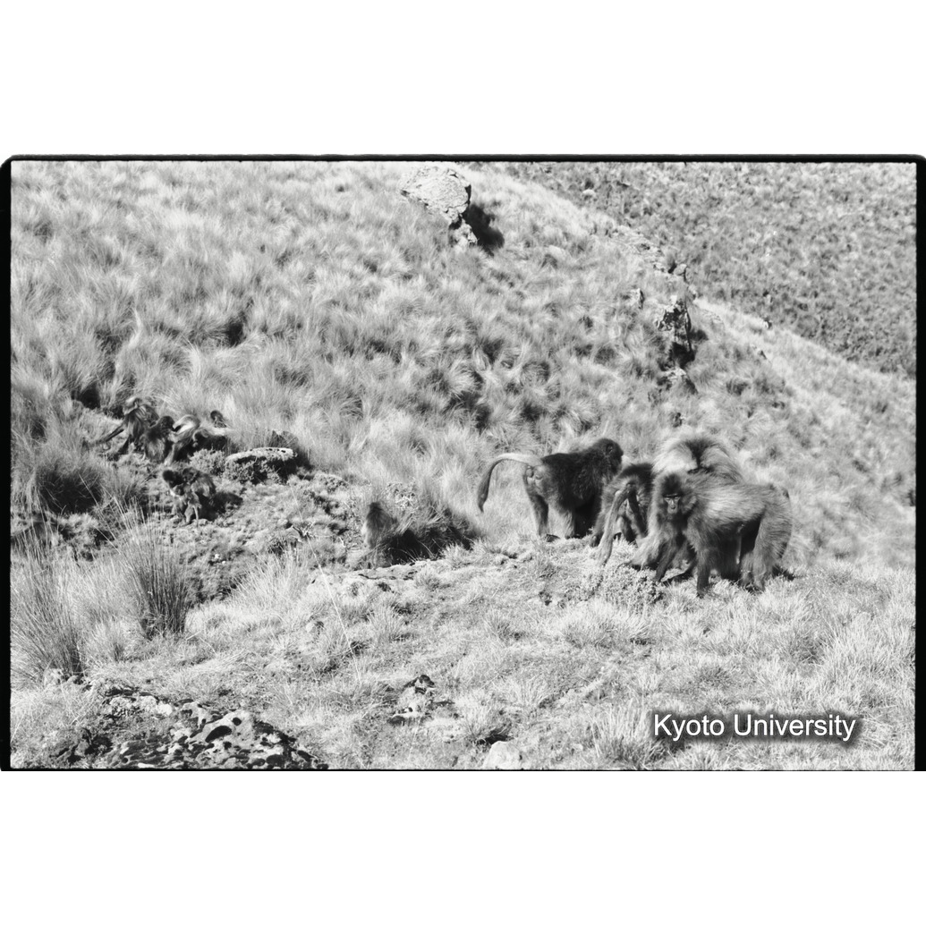 [１１コマ目]「休息（１）」 (1)