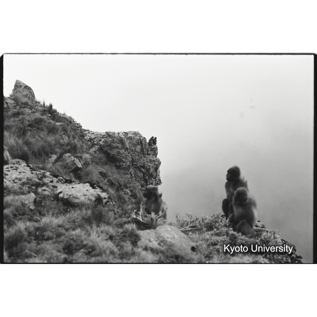 [２１コマ目]「日向ぼっこ」 (1)