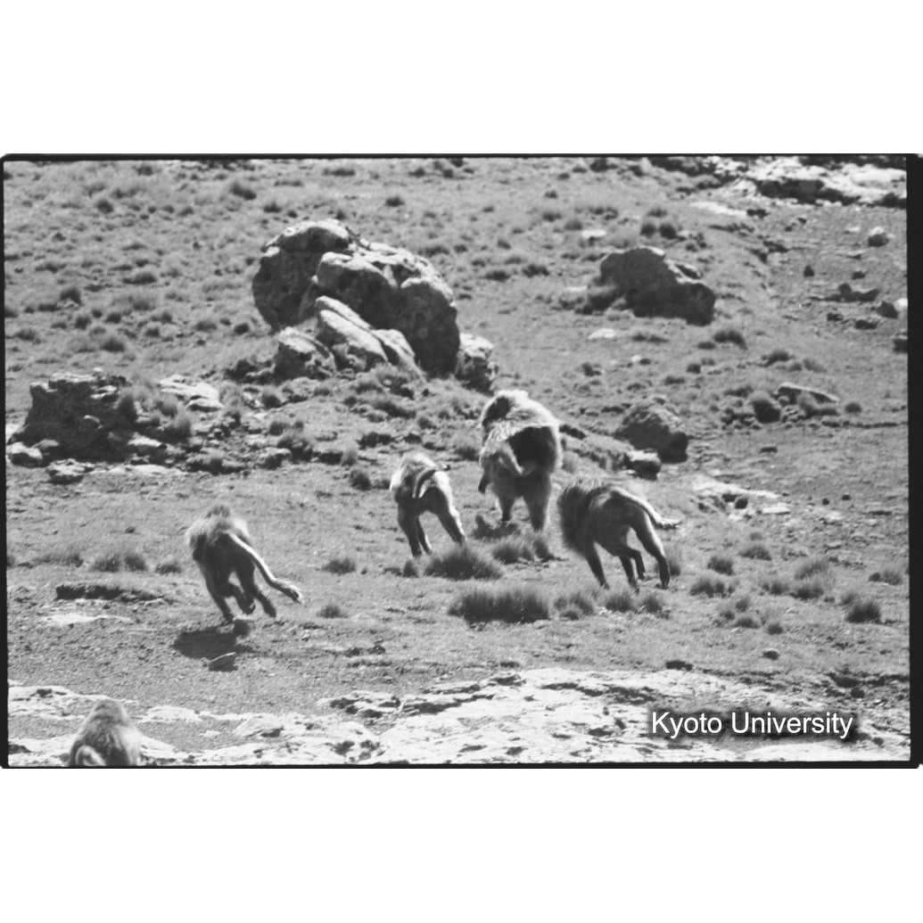 [２７コマ目]「リーダーの攻撃」 (1)