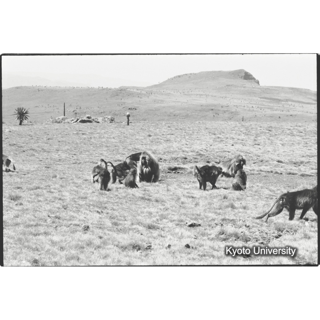 [３５コマ目]「アインユニット（５）」 (1)