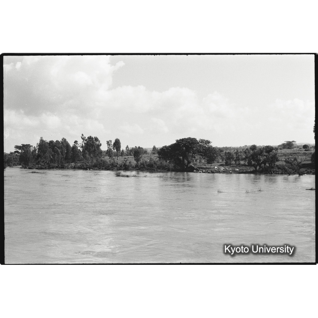 [４コマ目]「タナ湖（３）」 (1)