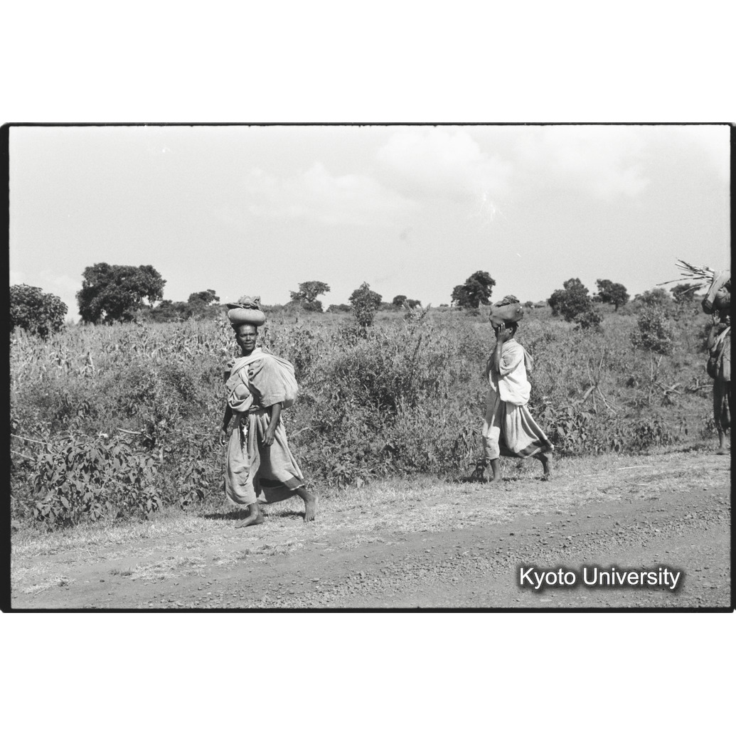 [２５コマ目]「運搬（２）」 (1)