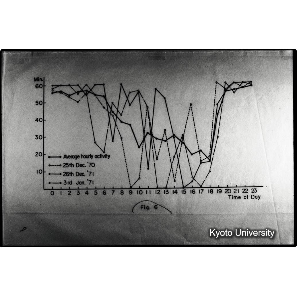 [１０コマ目]「×」 (1)