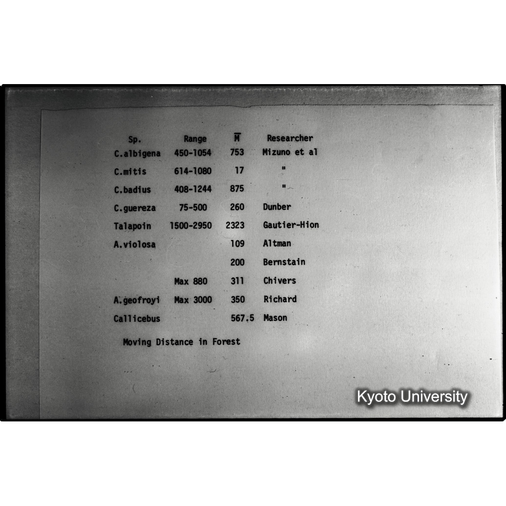 [１コマ目]「×」 (1)