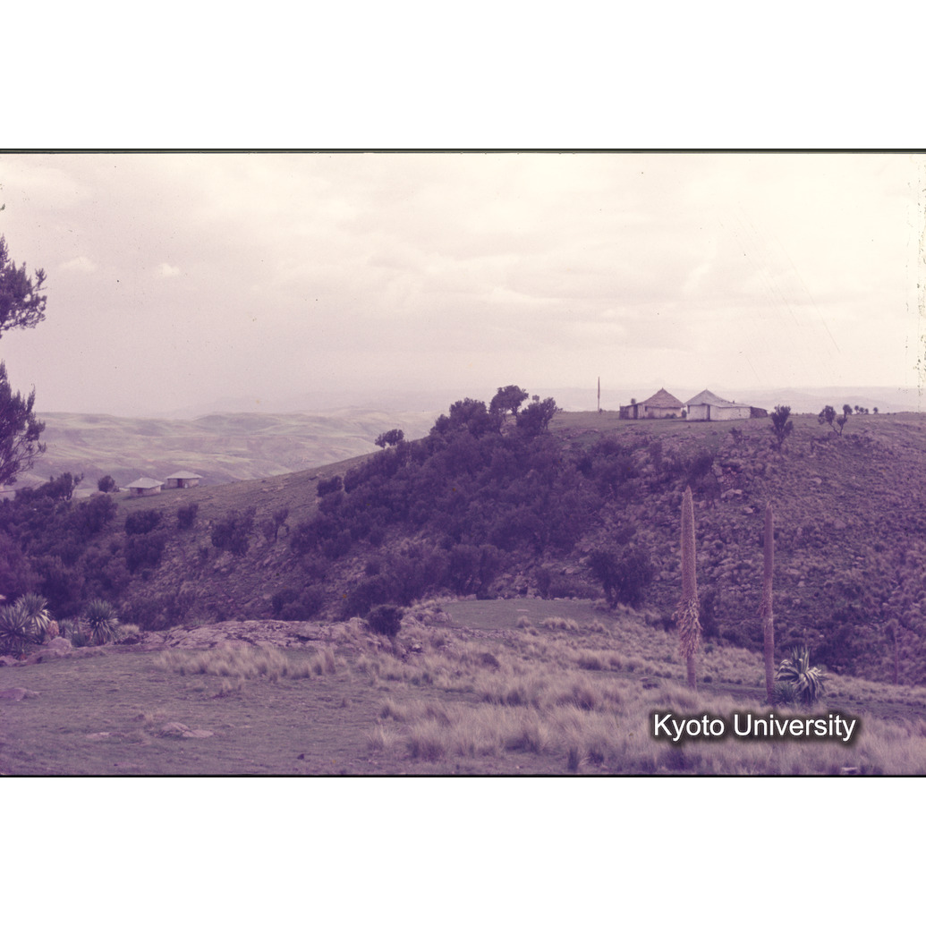 Sm　1973　1074 (1)