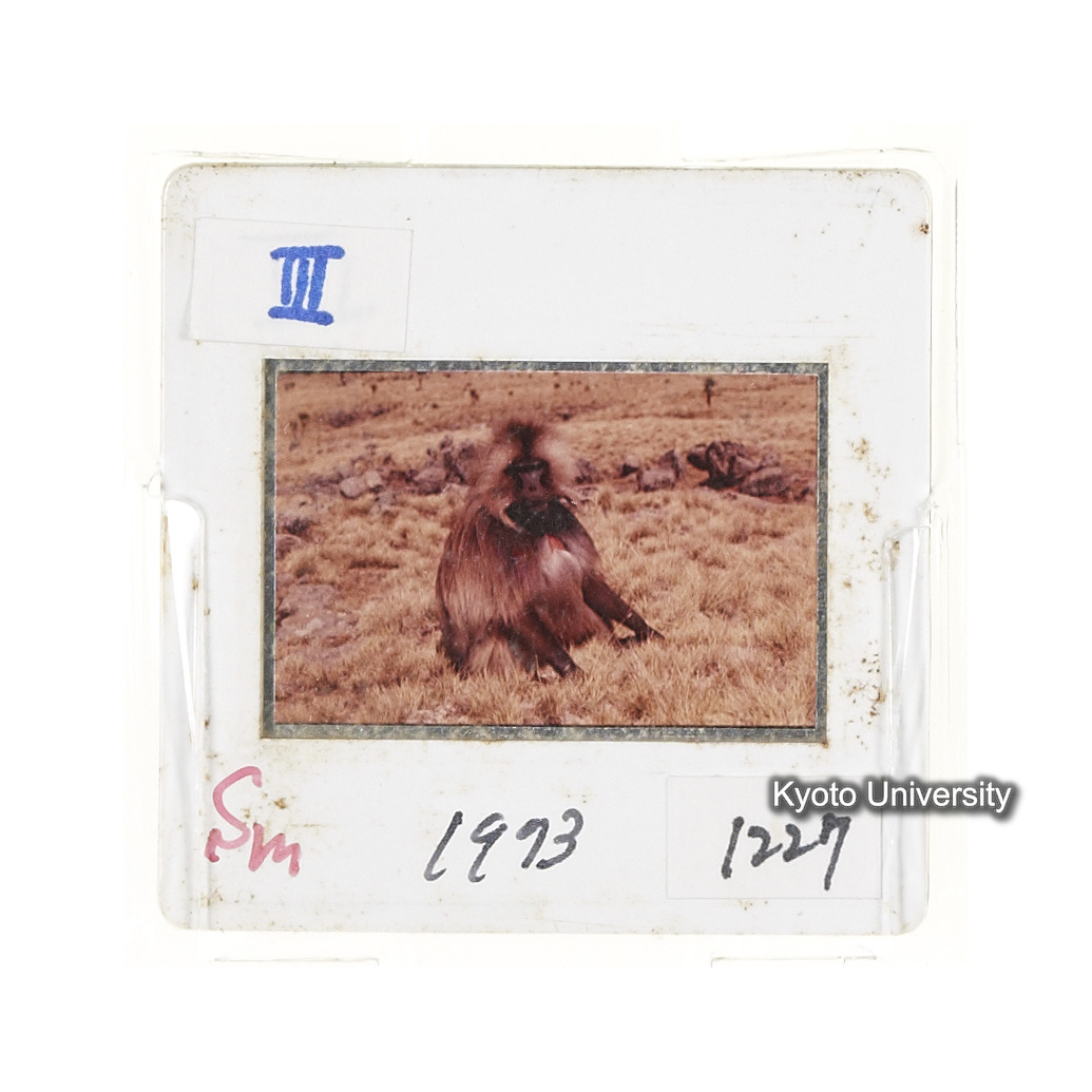 Sm　1973　1227 (2)