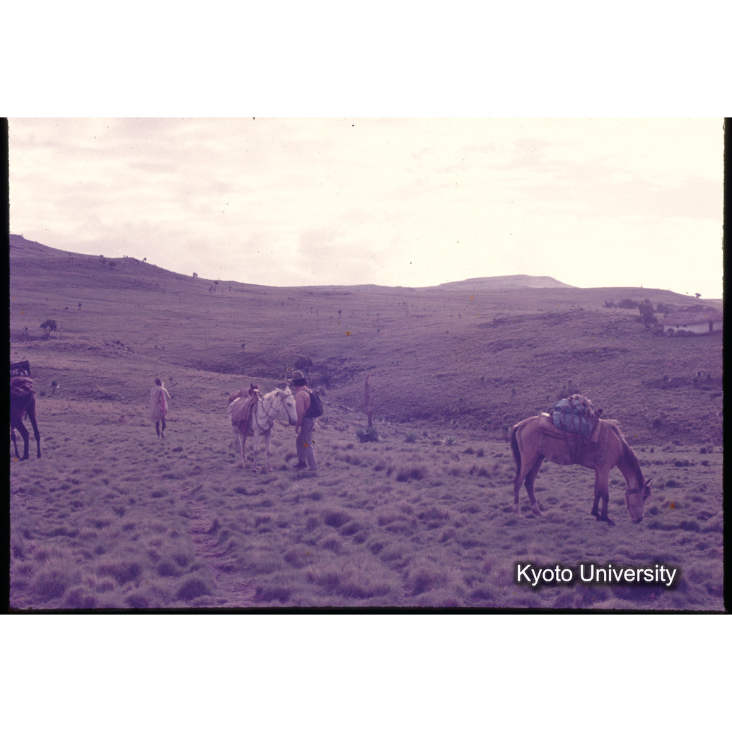 Sm　1973　1113 (1)