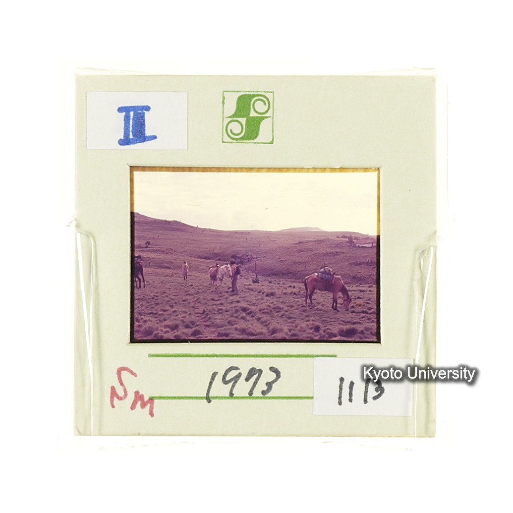 Sm　1973　1113 (2)