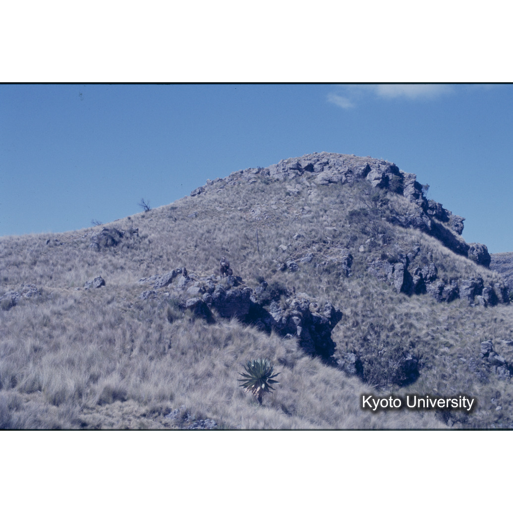 Sm　1973　R48　●[赤色シール] (1)