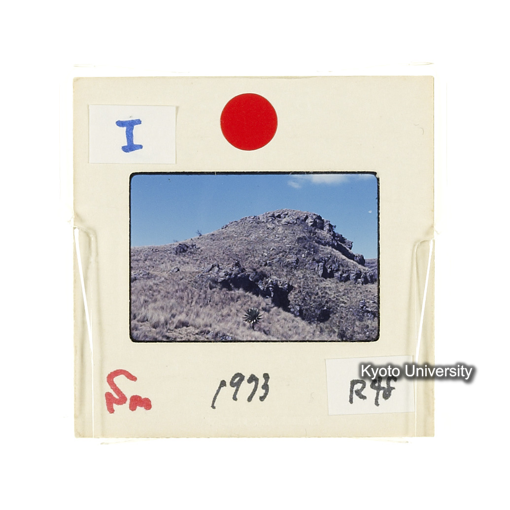 Sm　1973　R48　●[赤色シール] (2)